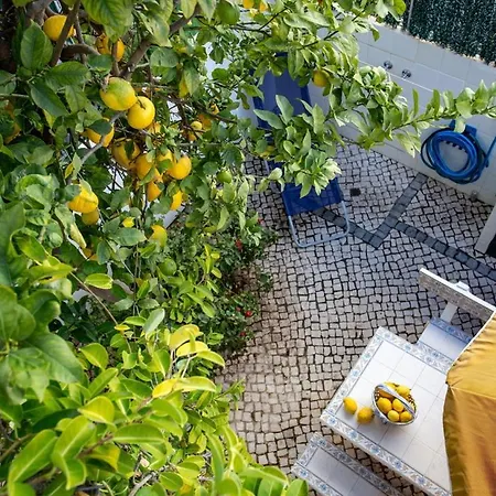 펜션 My Second House *