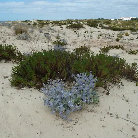 Hébergement de vacances My Second House Manta Rota